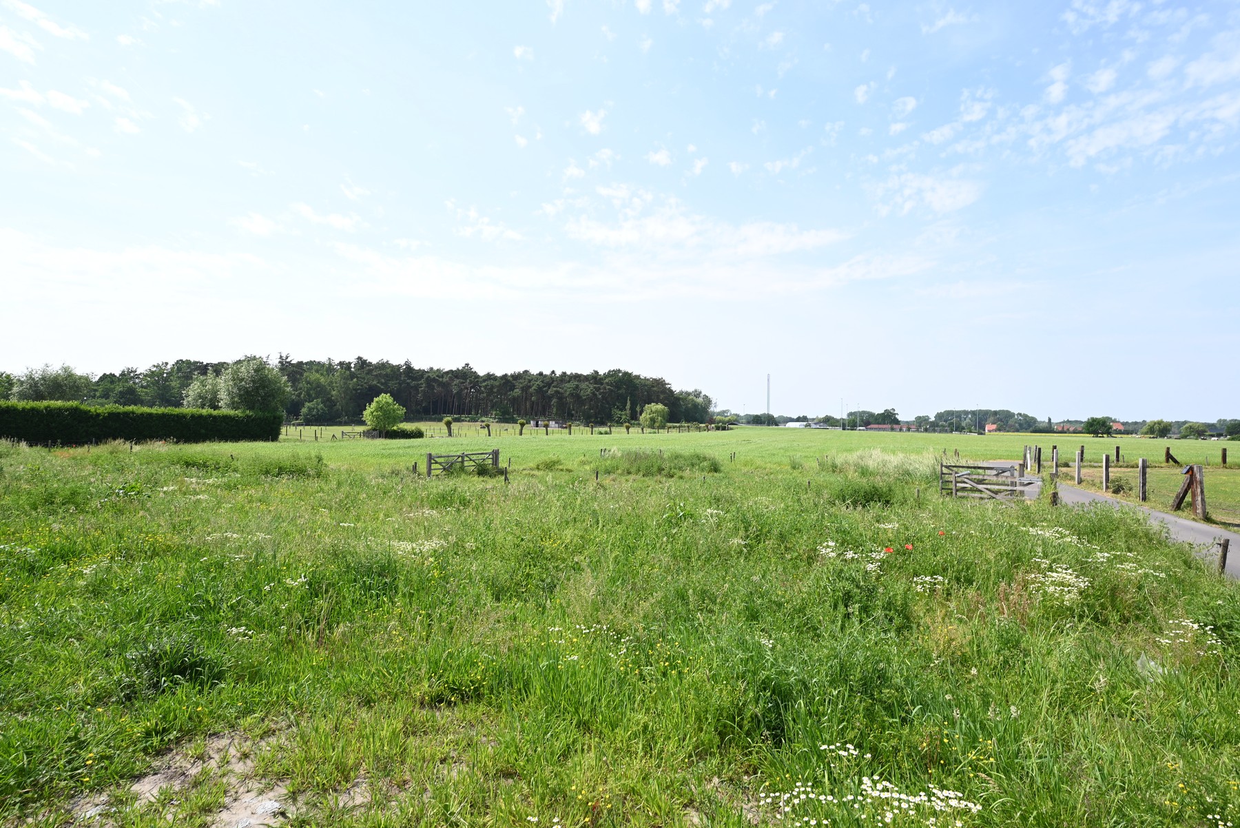 Nieuwbouwproject HERTSBERGE
